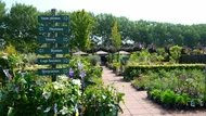 Bezoek Tuinplantencentrum Loef in Velserbroek