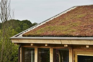 Sedum Mobiroof 50 x 50 x 8 cm - afbeelding 2