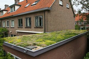 Sedummixmat Per 1,2 m2 - afbeelding 3