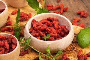 Lycium barbarum 'Gojibes' 40/50 C.