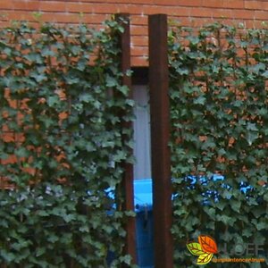 Hardhouten paal 59 x 59 x 3050 mm