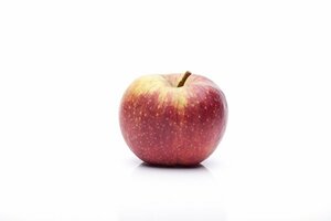 Malus domestica 'Jonagold' 125/150 C. Lei - afbeelding 3