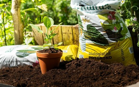 BIO Potgrond 40 Liter  - afbeelding 1