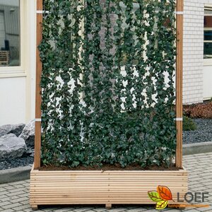 Hardhouten bak incl. Haag 120x100 144 x 40 x 40 cm