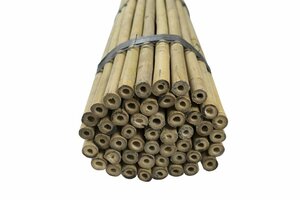 Bamboestok 150 cm