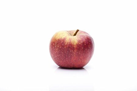Malus domestica 'Jonagold' - afbeelding 3